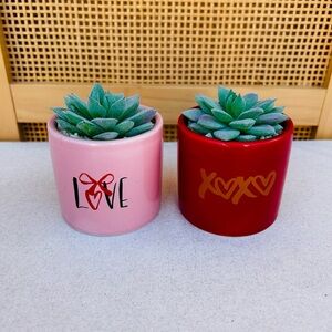 Small Faux Ceramic Succulents - Set of Two